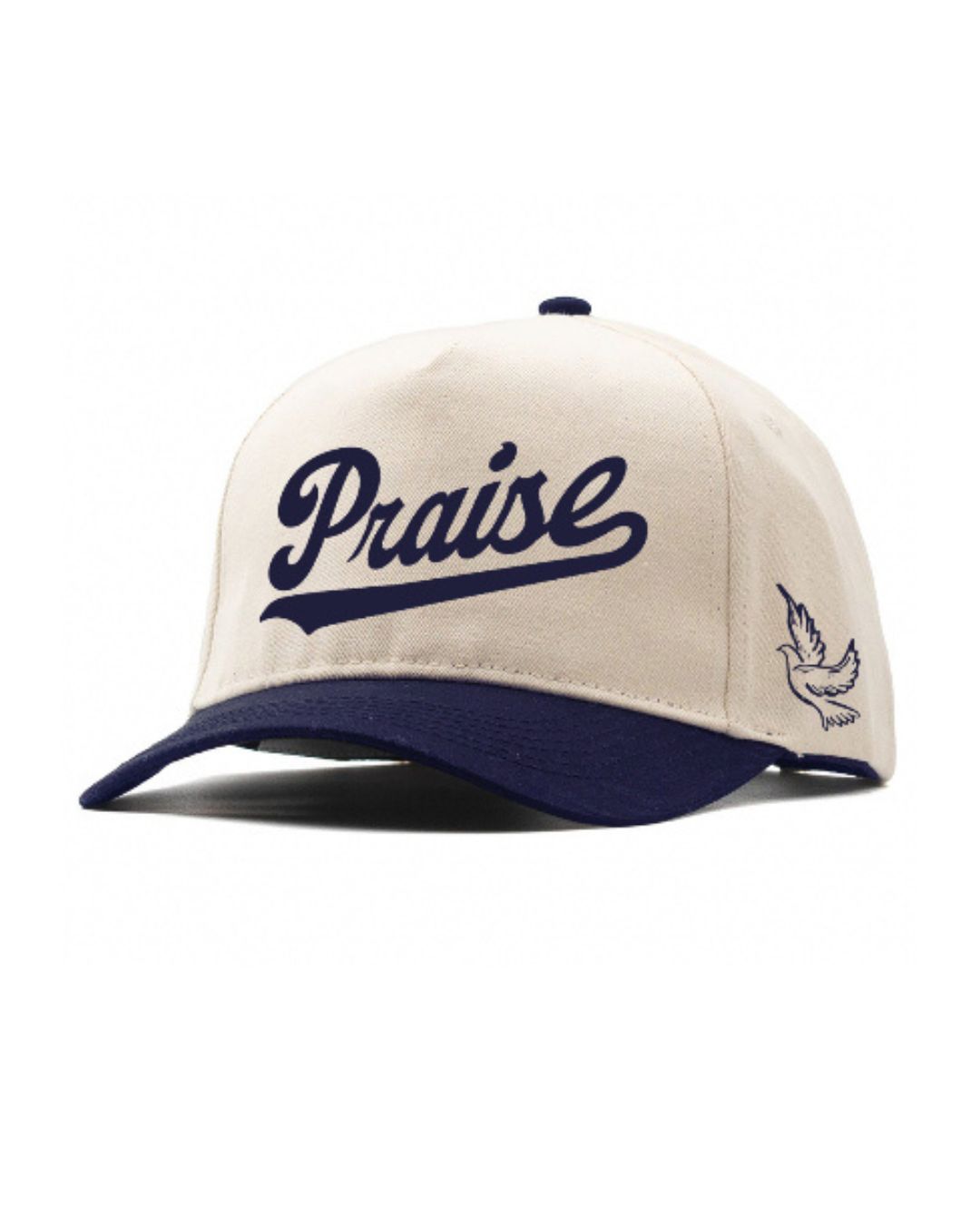 Praise Hat - Christian Embroidered A Frame Cap | Faith-Inspired “Praise” Font & Dove Icon - Snapback