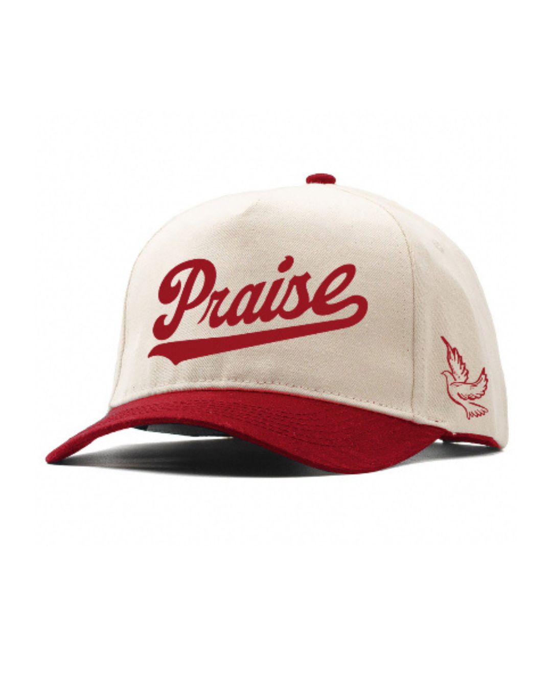 Praise Hat - Christian Embroidered A Frame Cap | Faith-Inspired “Praise” Font & Dove Icon - Snapback