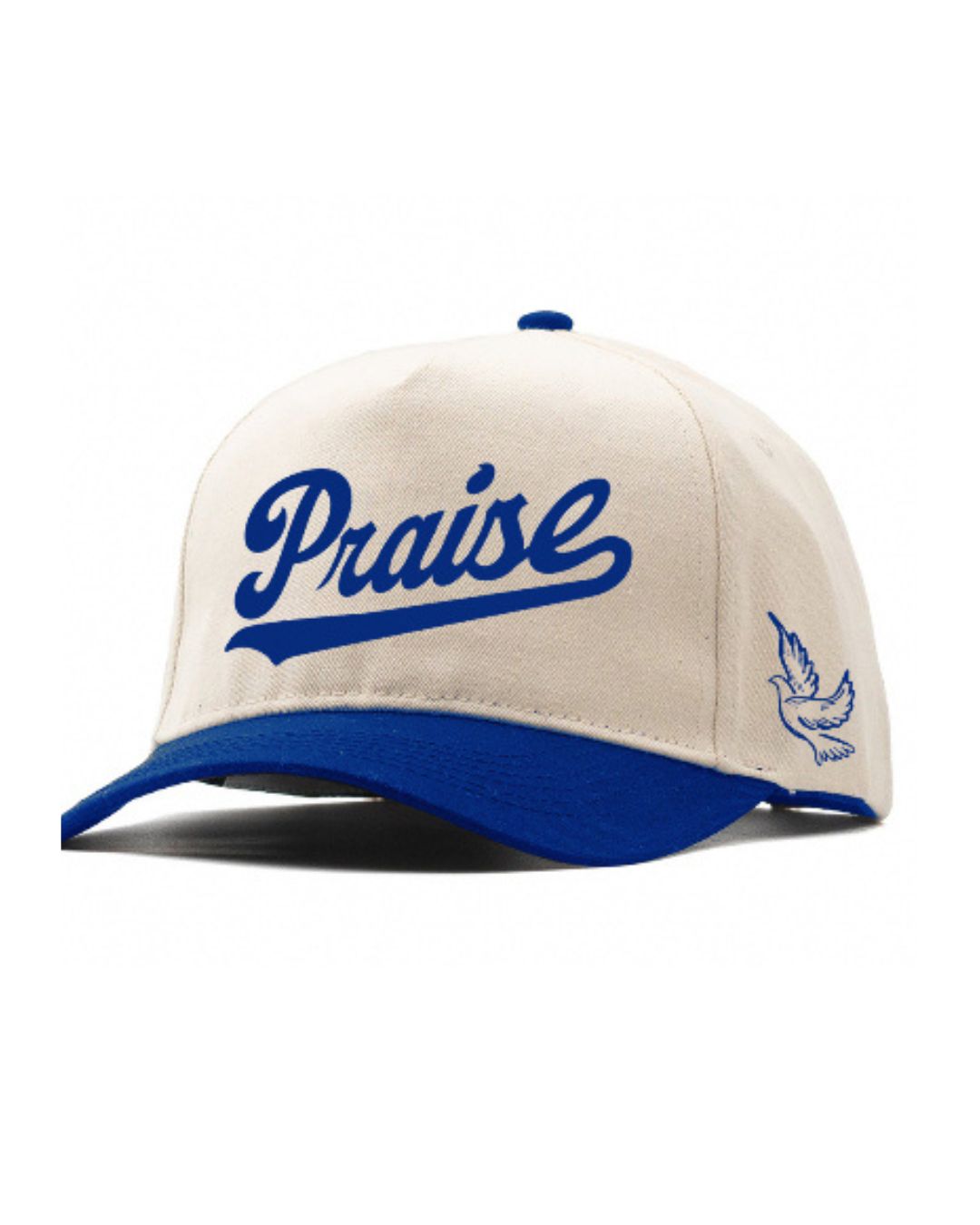 Praise Hat - Christian Embroidered A Frame Cap | Faith-Inspired “Praise” Font & Dove Icon - Snapback