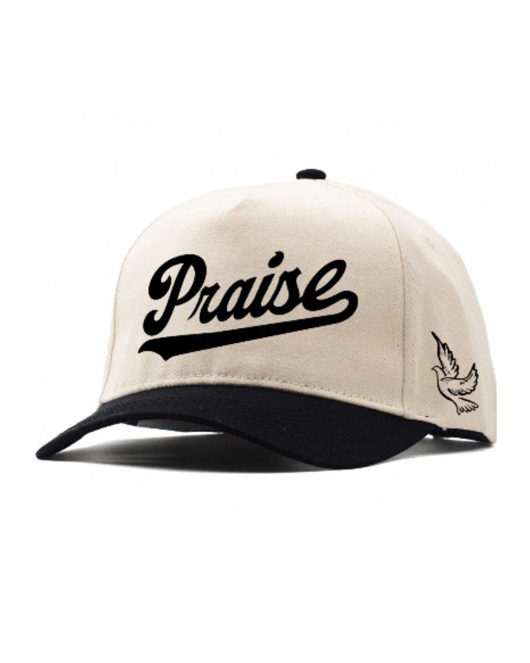 Praise Hat - Christian Embroidered A Frame Cap | Faith-Inspired “Praise” Font & Dove Icon - Snapback